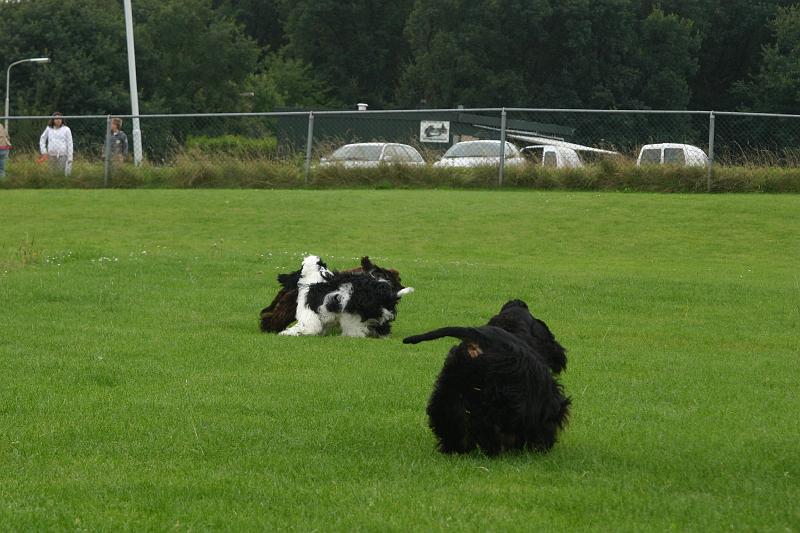 JH dag 2008 015c.jpg